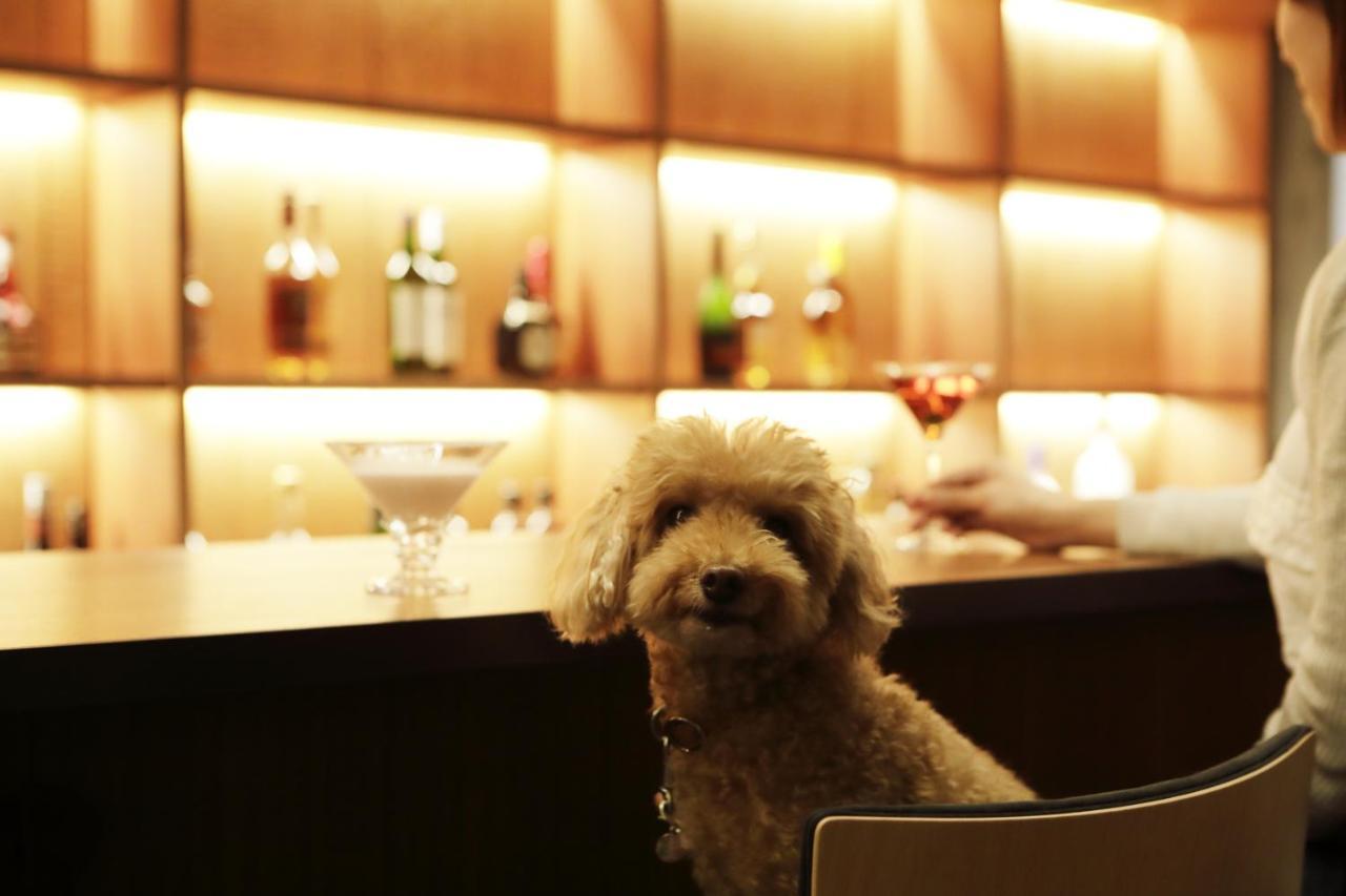 Regina Resort Kyukaruizawa Zewnętrze zdjęcie